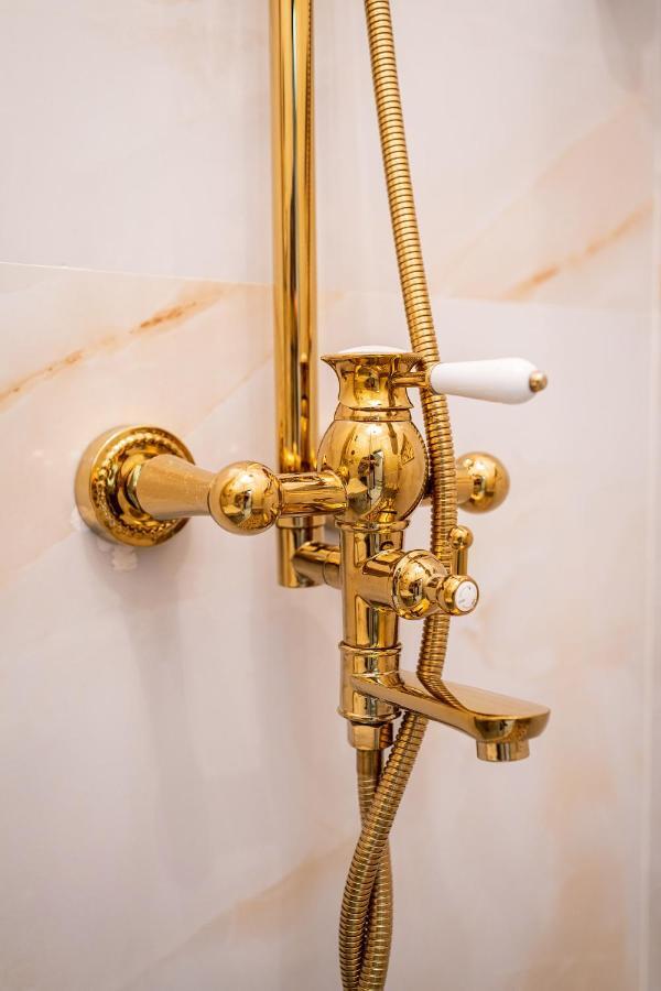 Private Museum Apartment With Antique Decor ブカレスト エクステリア 写真